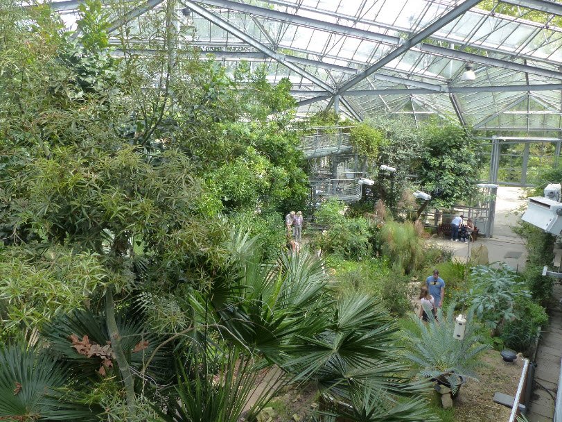 Hortus Botanicus, Netherlands